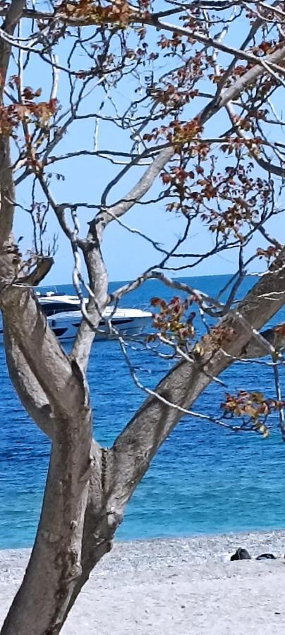 La Cita Ca - Vista Mare Daire Finale Ligure Dış mekan fotoğraf
